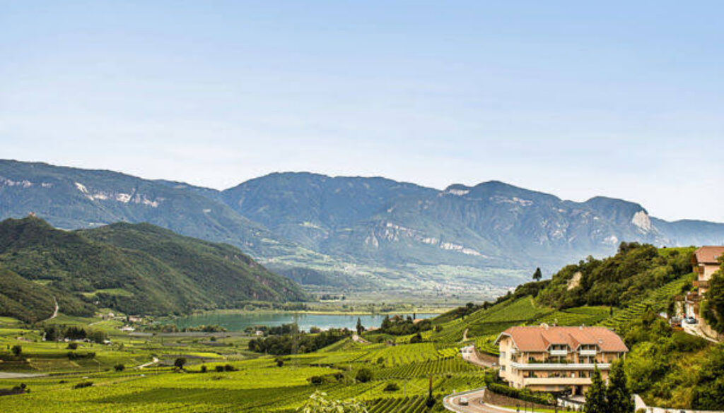 Magrè sulla Strada del Vino