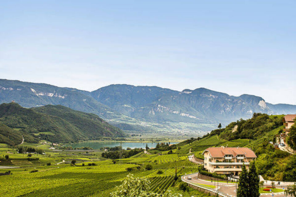 Magrè sulla Strada del Vino